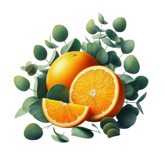 Iced Orange - Eucalyptus and Orange