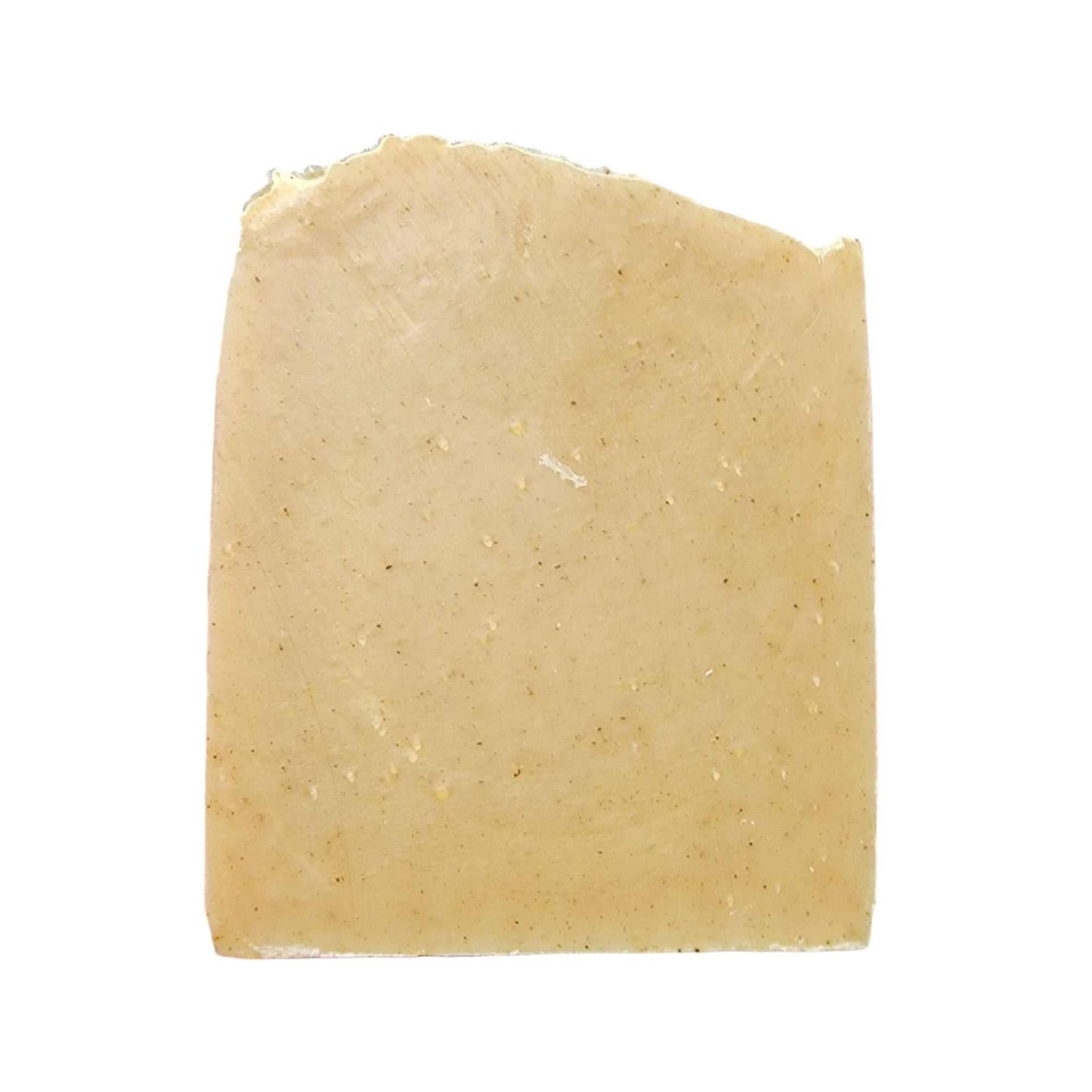 Mountain Mint on white background