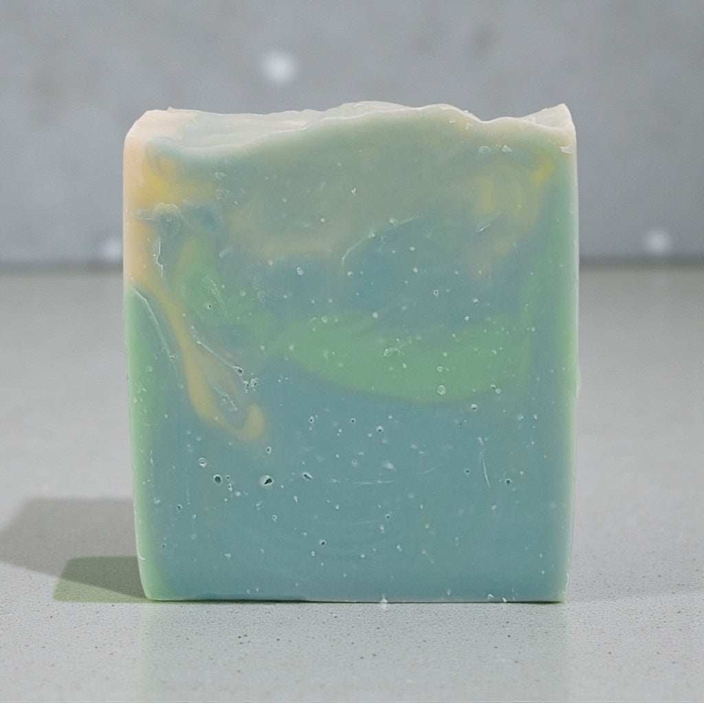 Caribbean Teakwood Soap in a bathroom