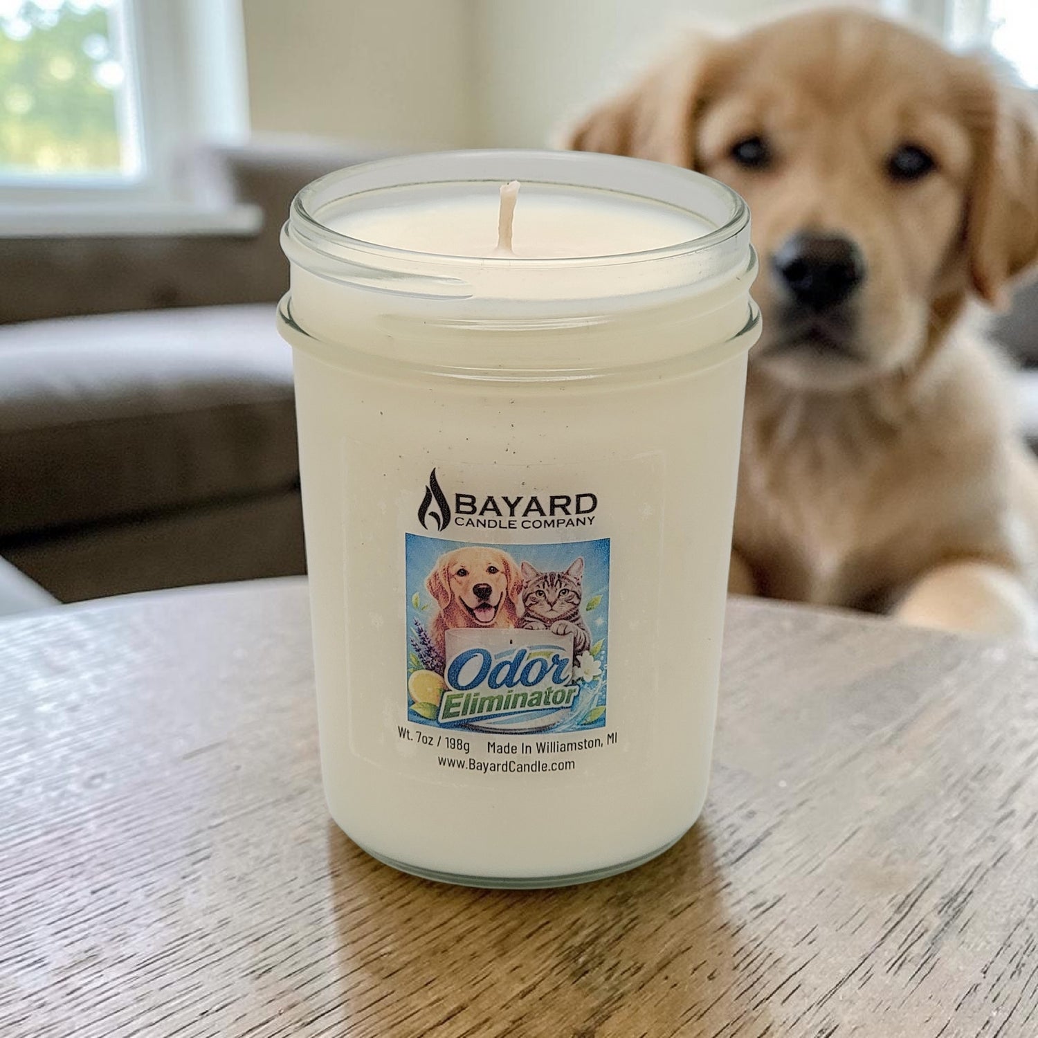 Odor Eliminator Soy Candle